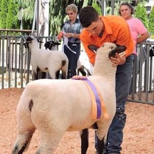 Meet your Posher, Cole